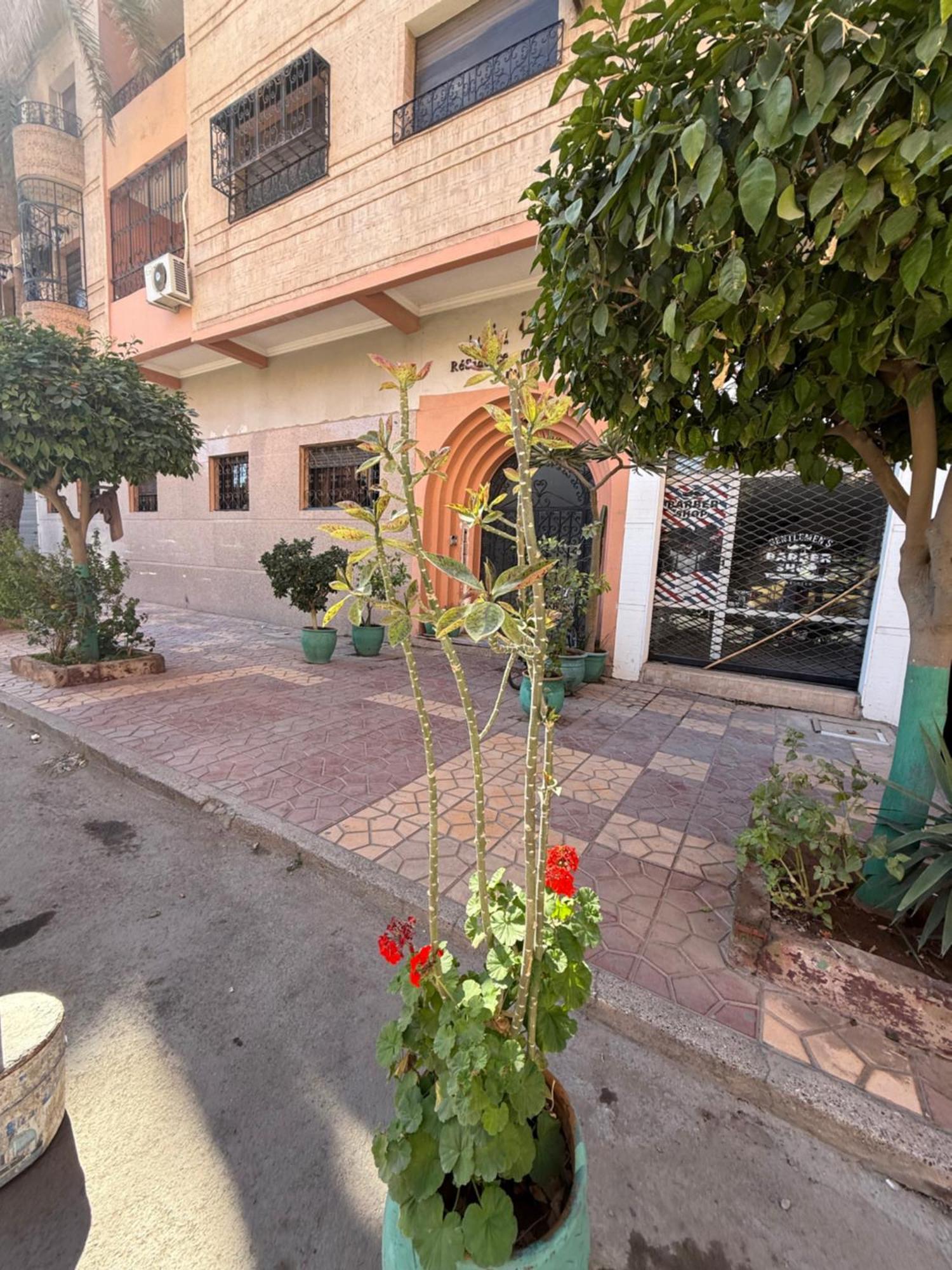 Appartamento Cosy Family A Majorelle Marrakesh